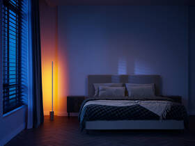 Stojací lampa Philips Gradient Signe - dub 
