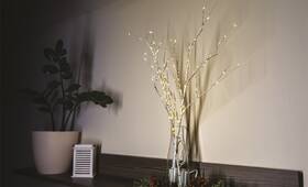 LED dekorace EMOS březová větvička, 60 cm, 100LED, venkovní i vnitřní, teplá bílá, časovač (2 ks) 

 obrázek produktu 5 z 7