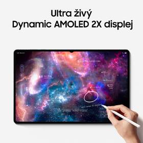 Dotykový tablet Samsung Galaxy Tab S12 Ultra 12 GB / 512 GB + dotykové pero šedý

 obrázek produktu 9 z 24