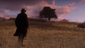 Hra RockStar Red Dead Redemption 2 

 obrázek produktu 10 z 28