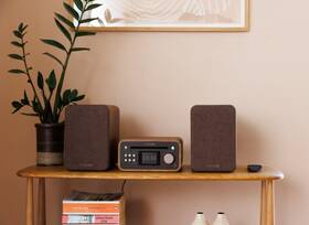 Mikrosystém Pure Classic Stereo Mini černý/hnědý

 obrázek produktu 6 z 8