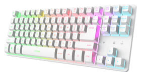 Klávesnice Trust GXT 831 Thado TKL, US layout bílá

 obrázek produktu 1 z 8