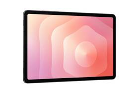 Dotykový tablet Samsung Galaxy Tab S11 12 GB / 128 GB + dotykové pero šedý

 obrázek produktu 4 z 9