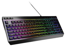Klávesnice Genesis RHOD 530 RGB černá

 obrázek produktu 3 z 5