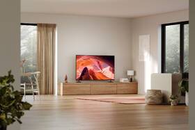 Televize Sony KD-65X80L 
