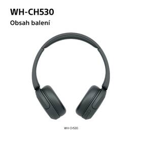 Sluchátka Sony WH-CH530 černá

 obrázek produktu 15 z 16