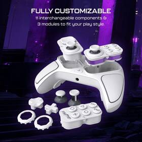 Gamepad Turtle Beach Victrix Pro BFG Reloaded - PS4/PS5, PC bílý

 obrázek produktu 4 z 8