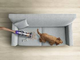  Dyson V10 Absolute 

 obrázek produktu 5 z 19