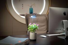 Chytrý květináč Click and Grow HydroVase šedý

 obrázek produktu 4 z 4