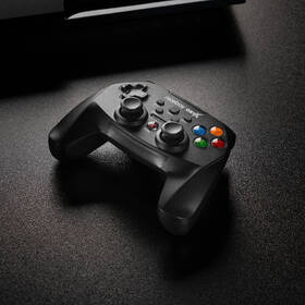 Gamepad Niceboy ORYX pro PC/PS3 černý

 obrázek produktu 6 z 7
