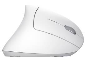 Myš Trust Verto Ergonomic Wireless bílá

 obrázek produktu 3 z 11