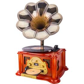 Gramofon Ricatech RMC360 dřevo

 obrázek produktu 1 z 4