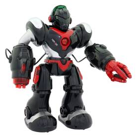 Robot MaDe Hektor 
