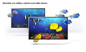 Televize Samsung UE40ES6900 

 obrázek produktu 13 z 16