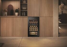 Vinotéka Haier HWS32GDG černá

 obrázek produktu 14 z 15