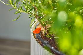 Ventil regulační Gardena MicroDrip System 4,6 mm (2 ks) 

 obrázek produktu 3 z 5