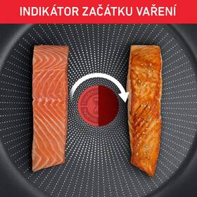 Pánev Tefal C2890202, 20 cm 

 obrázek produktu 10 z 10