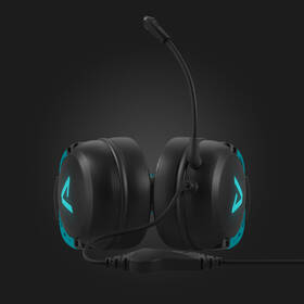 Headset LAMAX Heroes Defender1 černý

 obrázek produktu 7 z 15