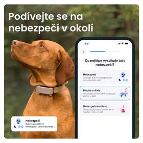 GPS lokátor Tractive DOG 6 hnědý

 obrázek produktu 3 z 10