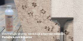 Víceúčelový vysavač Thomas Amfibia PRO Animal černý/bílý

 obrázek produktu 21 z 26