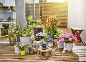 Zavlažovací systém Gardena AquaBloom 

 obrázek produktu 9 z 17