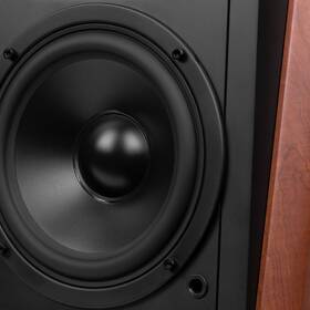 Reproduktory Swan M300MKII (2 ks) hnědé

 obrázek produktu 11 z 16