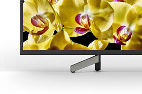 Televize Sony KD-43XG8096 

 obrázek produktu 4 z 6