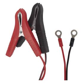 Nabíječka autobaterií EMOS 6/12V 0,8A 

 obrázek produktu 5 z 6