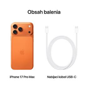 Mobilní telefon Apple 2 TB kosmicky oranžový 

 obrázek produktu 14 z 16
