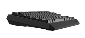 Klávesnice Genesis THOR 230, TKL, RGB, Outemu Red, bezdrátová, US layout černá

 obrázek produktu 1 z 9