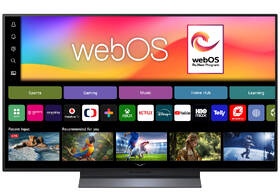 Televize LG OLED48C64LA 

 obrázek produktu 7 z 10