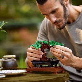 Stavebnice LEGO® Botanicals 10281 Bonsaj 

 obrázek produktu 7 z 8
