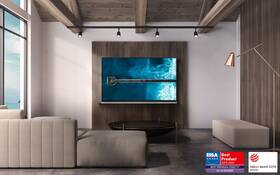 Televize LG OLED65E9 

 obrázek produktu 16 z 16