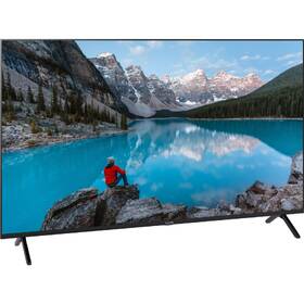 Televize Panasonic TX-55MX800E 

