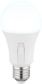 Žárovka LED GLOBO E27, 9W,  posuvný spínač, 830 lm, CCT 3000/4000/6500K bílá

 obrázek produktu 4 z 5
