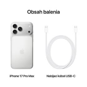 Mobilní telefon Apple 256GB stříbrný 

 obrázek produktu 14 z 16