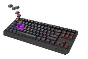 Klávesnice Genesis THOR 230, TKL, RGB, Outemu Red, bezdrátová, US layout černá

 obrázek produktu 6 z 9