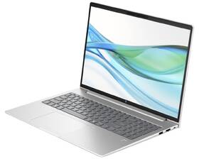 Notebook HP ProBook 465 G11 stříbrná barva
