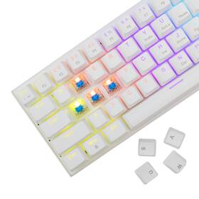 Klávesnice White Shark WAKIZASHI 2, Blue Switch, US layout bílá

 obrázek produktu 2 z 6