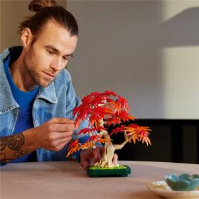 Stavebnice LEGO® Botanicals 10348 Bonsaj – Japonský červený javor 

 obrázek produktu 5 z 9