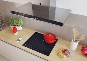 Odsavač par Hoover HTS9CBK5XWIFI nerez

 obrázek produktu 8 z 11