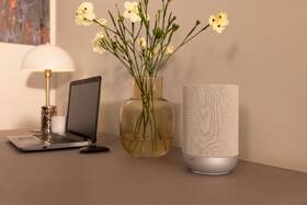 Reproduktor Denon Home 200 stříbrný

 obrázek produktu 6 z 8