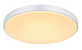 Stropní svítidlo GLOBO Sonny, 51 cm, LED, 24W stříbrné

 obrázek produktu 3 z 6