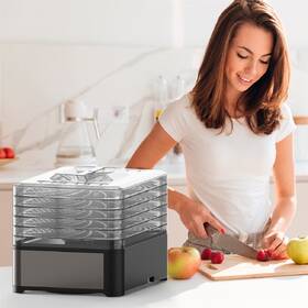 Sušička ovoce Black+Decker BXDE401E stříbrná/průhledná

 obrázek produktu 2 z 5