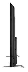 Televize JVC LT-43VAQ3435 
