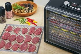 Sušička ovoce Sencor SFD 6600BK 

 obrázek produktu 9 z 20