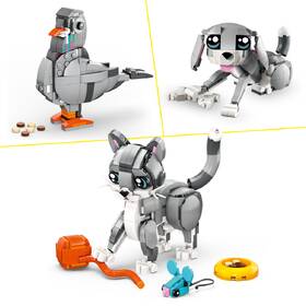 Stavebnice LEGO® Creator 3 v 1 31163 Hravá kočka 

 obrázek produktu 2 z 8