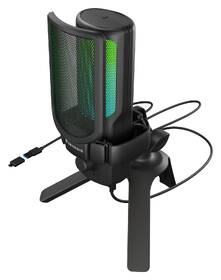 Mikrofon Genesis Radium 250 černý

 obrázek produktu 7 z 7