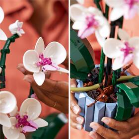 Stavebnice LEGO® Botanicals 10311 Orchidej 

 obrázek produktu 7 z 8