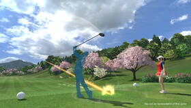 Hra Sony PlayStation 4 Everybody's Golf VR 
